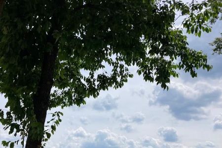 American Way RV Park - Parkersburg