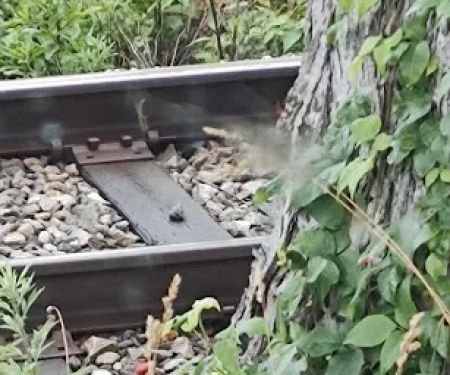 Blue Heron Campground