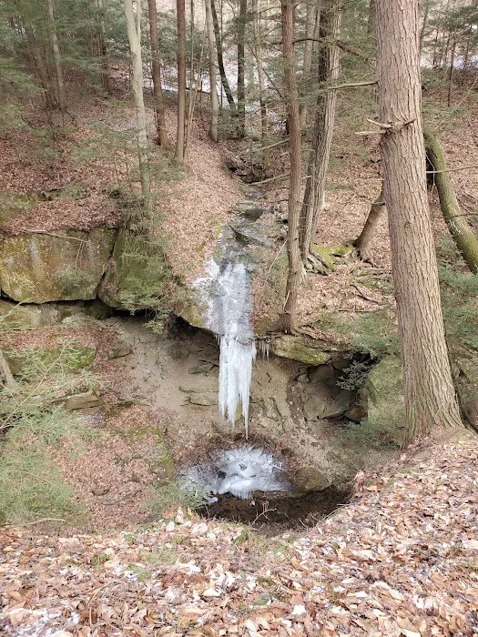 Piatt Park Campground 8