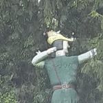 Wildwood Acres Family Campground