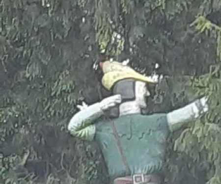 Wildwood Acres Family Campground