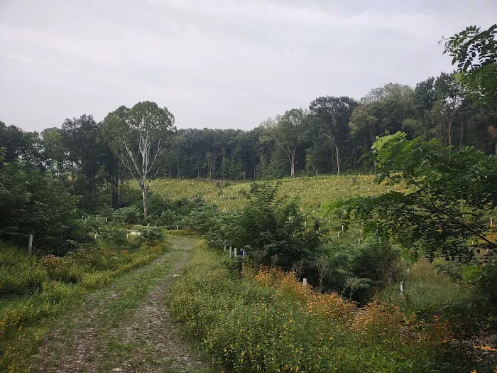 Beaver Creek State Park Family Campground 3