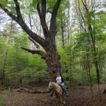 Beaver Creek State Park Horesman’s Camp