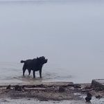 Tuttle Point Campground
