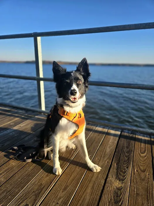 Tuttle Point Campground 6