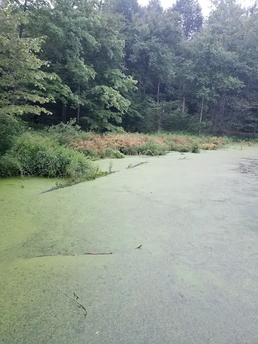 The Great Outdoors Family Campground 8
