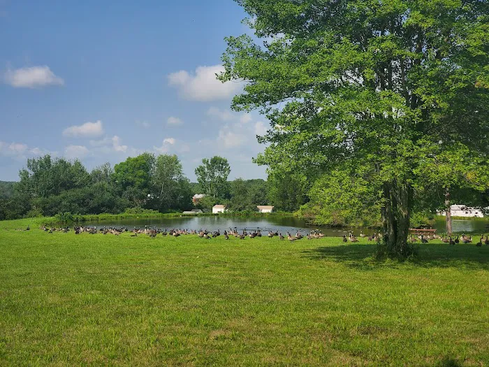 Crystal Springs Campground 2