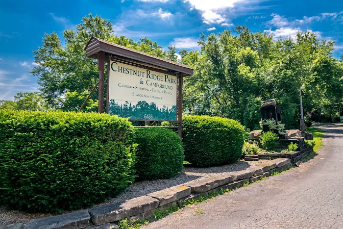 Chestnut Ridge Campground 9