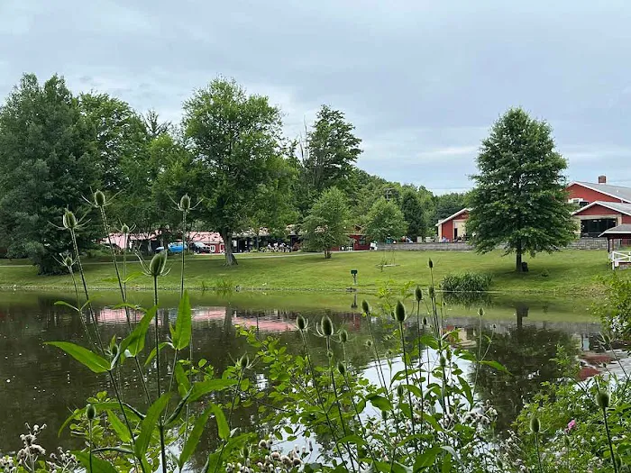 GabbaCamp 5