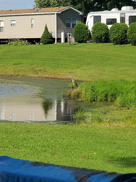 Pine Lane Campground 9