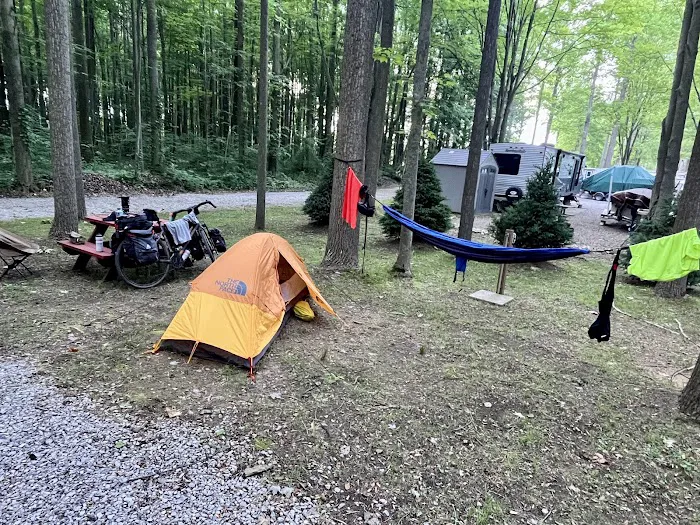 Pine Lane Campground 10
