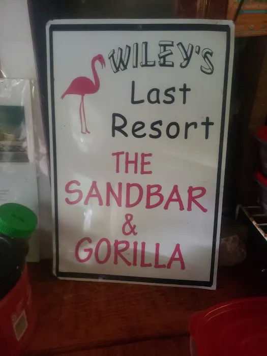 The Sandbar & Gorilla 4