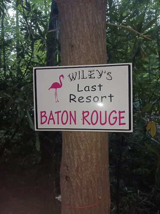 Baton Rouge (Wiley's Last Resort) 1