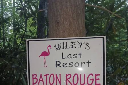 Baton Rouge (Wiley's Last Resort)