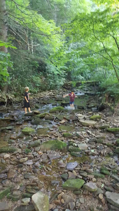 Cane Patch Campground 4