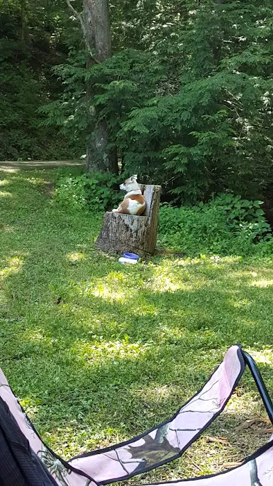 Cane Patch Campground 5