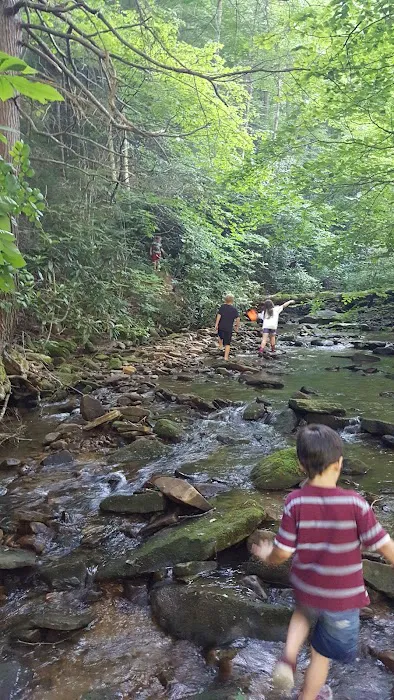 Cane Patch Campground 2