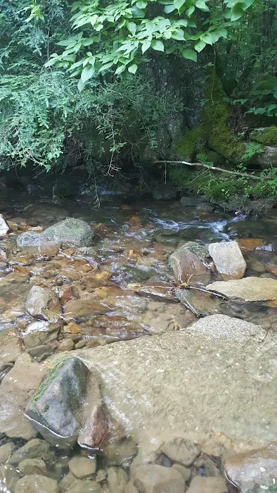 Cane Patch Campground 6