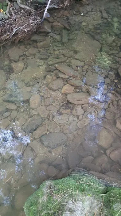 Cane Patch Campground 1