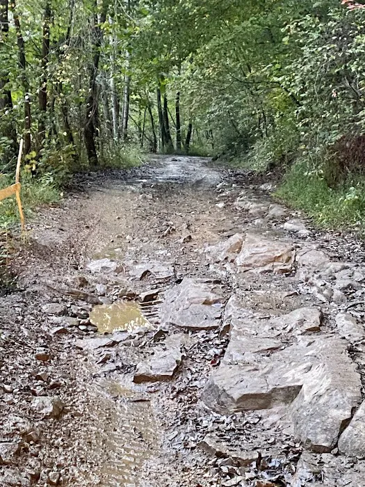 Big Creek ATV Campsite 7