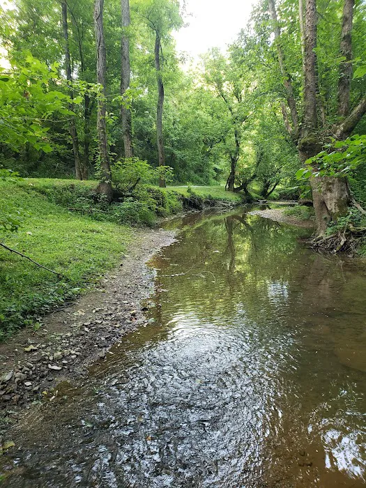 Out on the creek Rv park 9