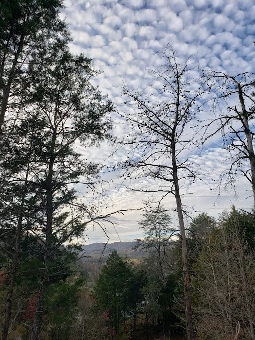 Out on the creek Rv park 10