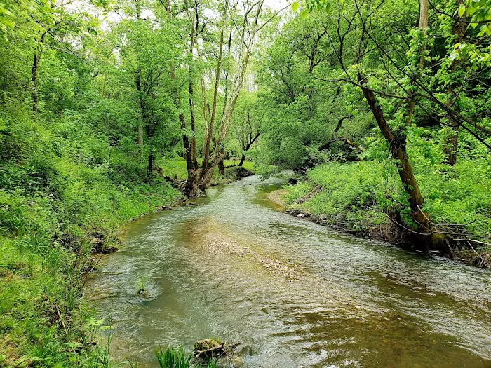 Out on the creek Rv park 7