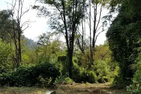 North Evarts RV Park