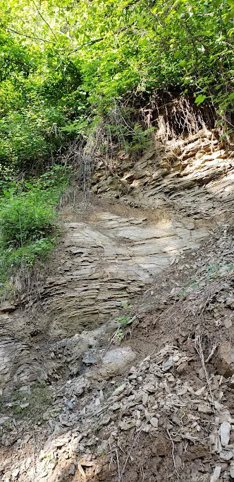 Evarts atv camp ground 9