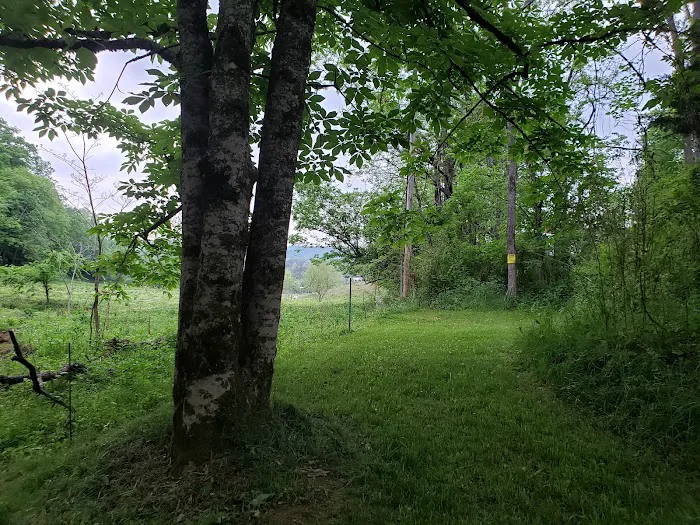 Out on the Creek Campground 7