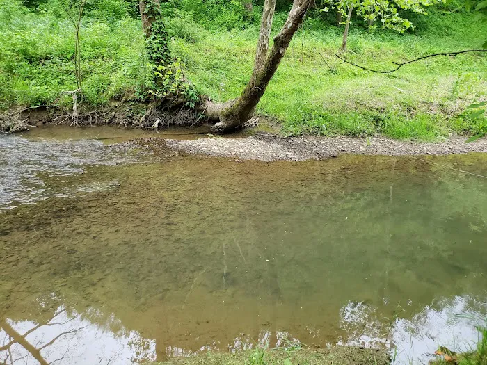 Out on the Creek Campground 5