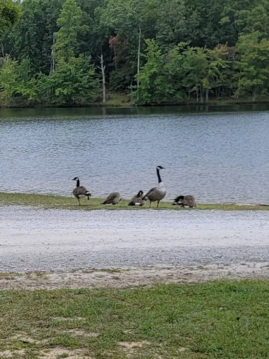 Deer Run RV Resort 10