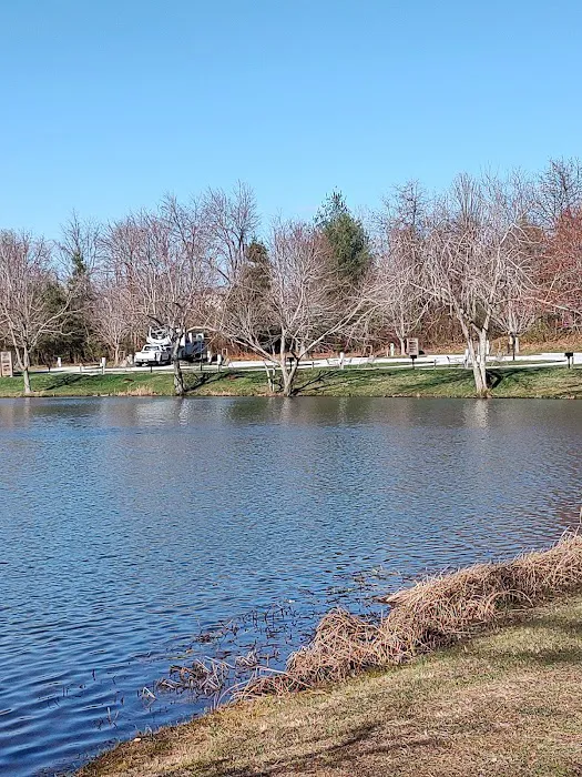 Spring Lake RV Resort 1