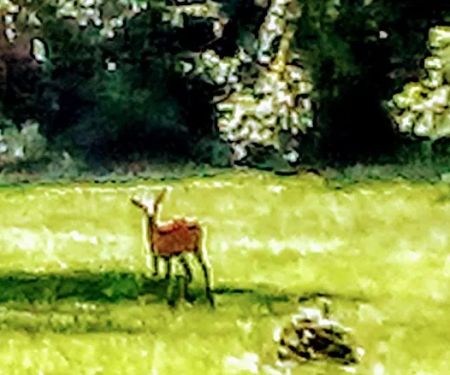 Oakcrest Mobile Home Park