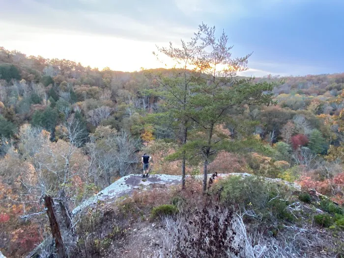 Freedom Hills Campground 2
