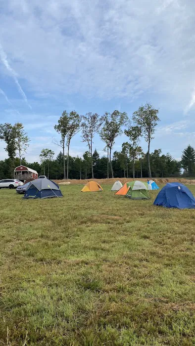Freedom Hills Campground 5