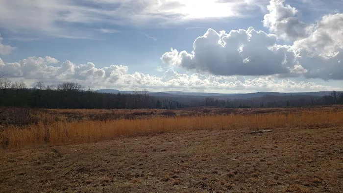 Freedom Hills Campground 4