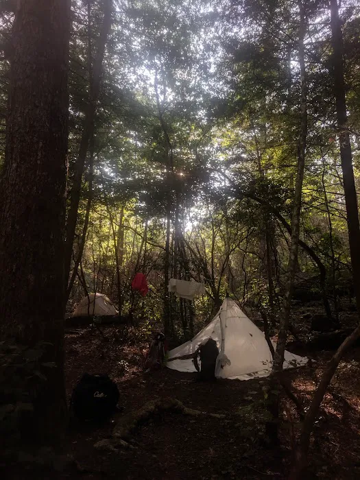 Upper Poly Branch Campsite 4