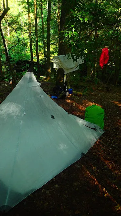 Upper Poly Branch Campsite 1