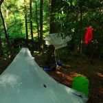 Upper Poly Branch Campsite