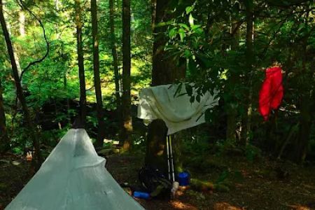 Upper Poly Branch Campsite