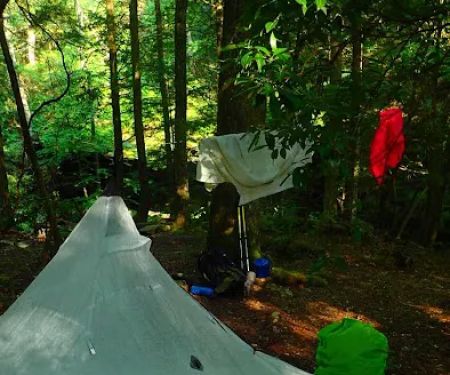 Upper Poly Branch Campsite