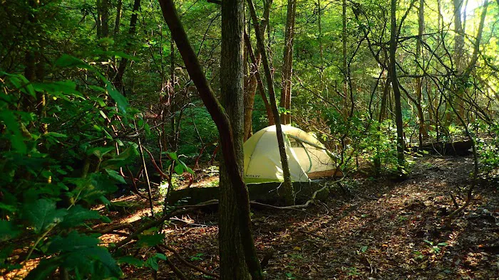 Upper Poly Branch Campsite 3