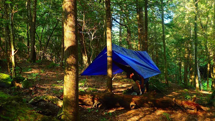 Upper Poly Branch Campsite 2