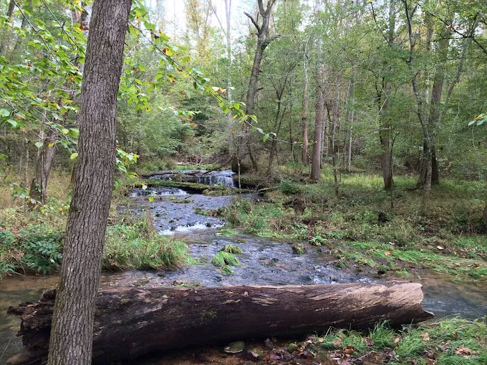 Saddlebrook River Estates 4