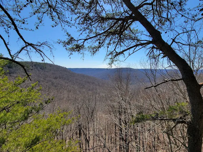 Martha’s Pretty Point 7