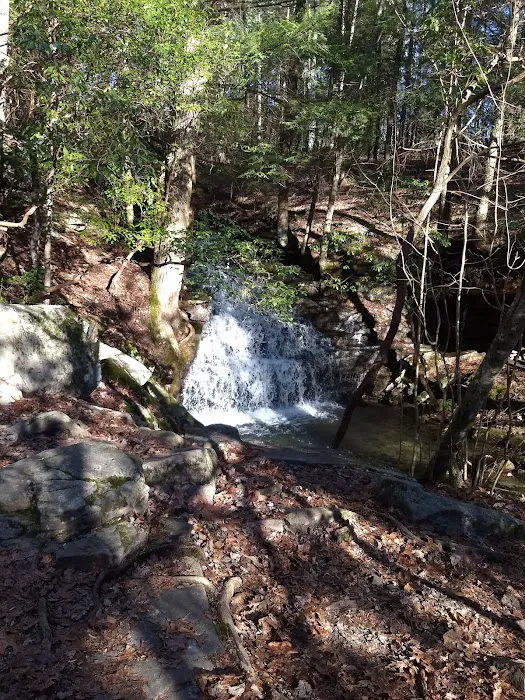 Martha’s Pretty Point 10