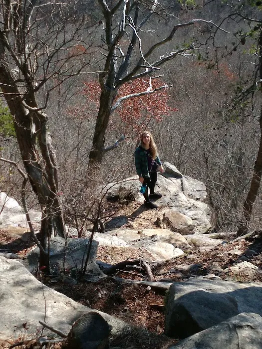 Martha’s Pretty Point 5