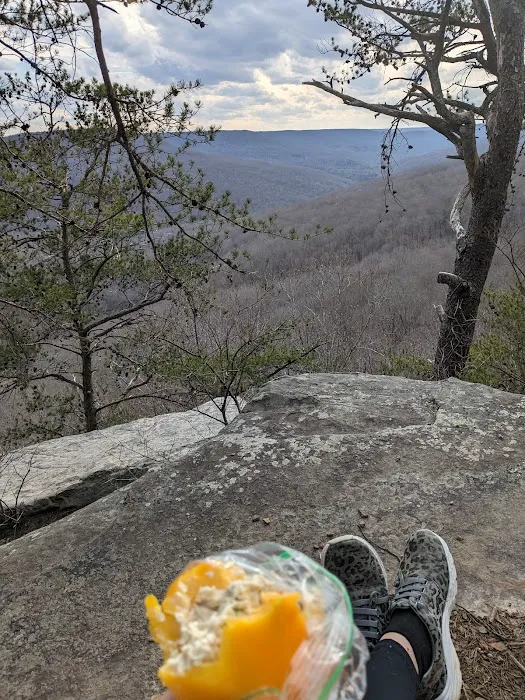 Martha’s Pretty Point 3