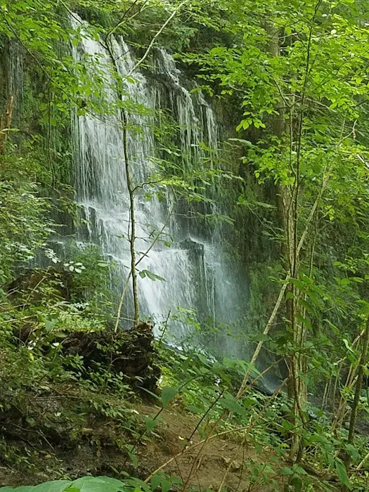Rock Island Tent Camping Sites 7